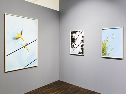 Yoshinori Mizutani. Courtesy of Christophe Guye Galerie