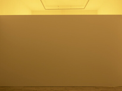 David Douard. Courtesy of Galerie Chantal Crousel