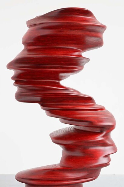 Tony Cragg, Bent of mind, 2008, Wood, Photo: David Kaluza
© the artist, Courtesy of Galerie Thaddaeus Ropac
