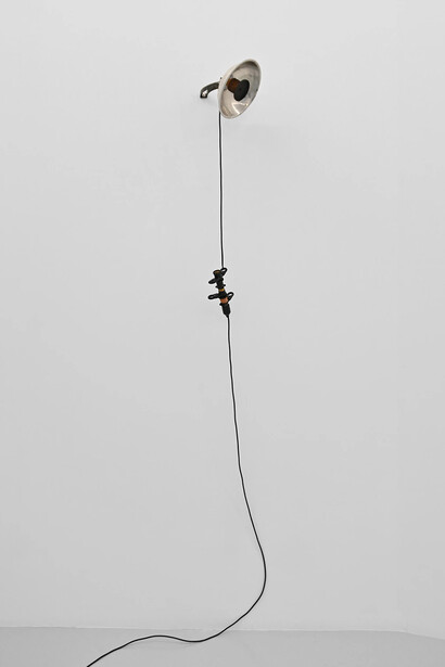 Pablo Capitán del Río, La otra selva, vista de exhibición. Cortesía de Art Nueve