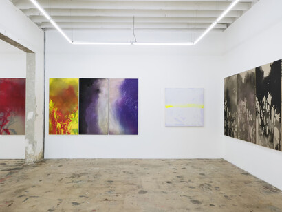 Seth Cameron, Good dog, exhibition view. Courtesy of Nina Johnson