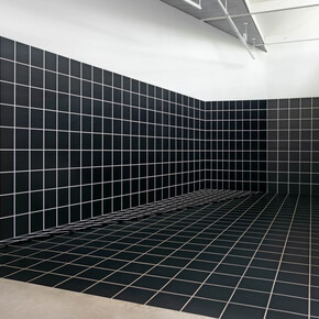 Regina Silveira, Graphos, vista da exposição. Cortesia da Luciana Brito Galeria