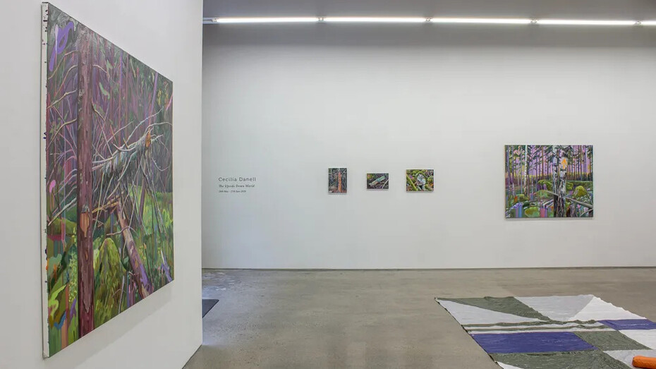 Cecilia Danell, The upside down world, exhibition view. Courtesy of Kevin Kavanagh