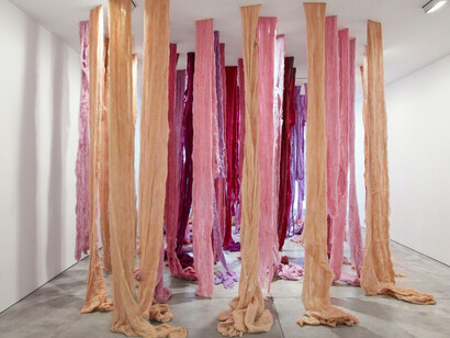 La India Contaminada. Courtesy of Lehmann Maupin