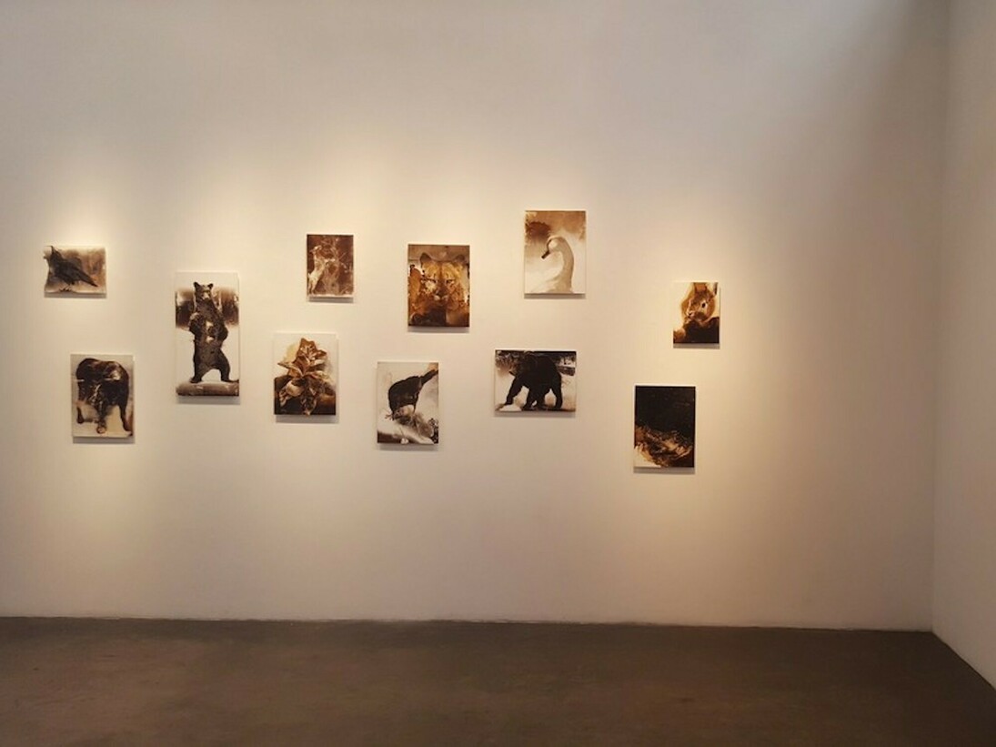 James Griffith, Exhibition view. Courtesy of Craig Krull Gallery