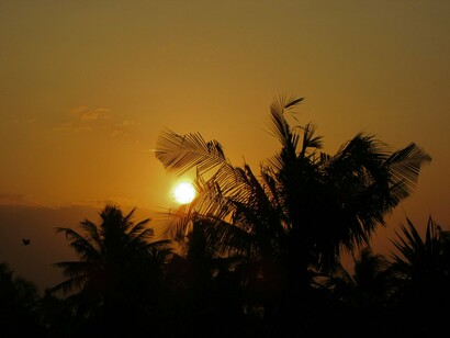 Miami offers scenic beaches with a lavish sunset view