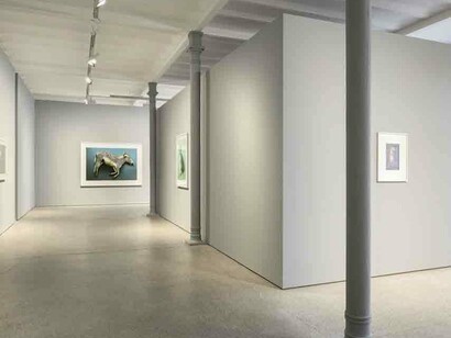 Thomas Struth. Courtesy of Galerie Greta Meert