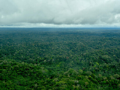 Ecuadorian Amazon forests, protected by Sapara Indigenous Nation © Ashish Kothari