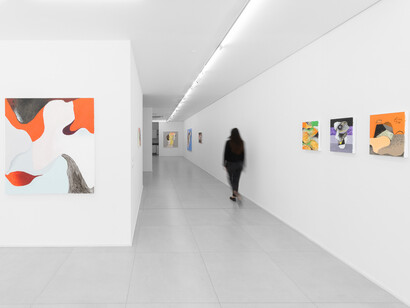 Antonio Malta Campos, Opalescent, exhibition view. Courtesy of Simões de Assis Gallery