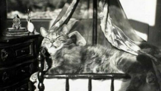 Claude Cahun, La Chambre du chat ["The Cat's Room"], 1940, vintage gelatin silver print, 6 1/2 x 8 1/2 inches, 16.5 x 21.6 cm