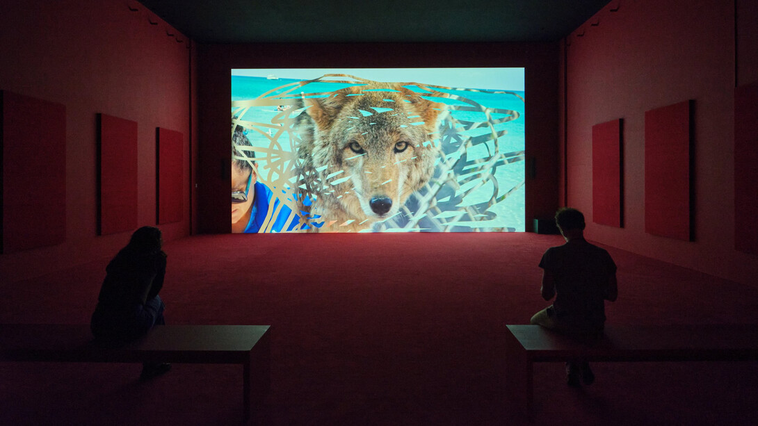 Camille Henrot, In the veins, vue de l'exposition. Avec l'aimable autorisation de LUMA Arles