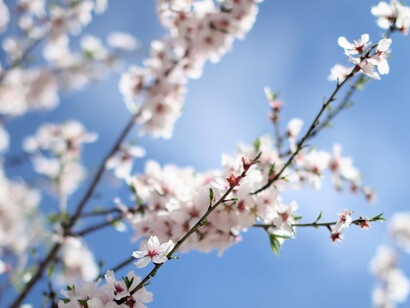 Il profumo di chi mi ama