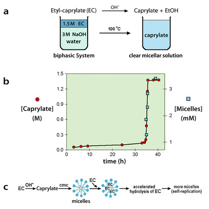 Autocatalytic self-reproduction of aqueous caprylate micelles. Panel a: experimental apparatus. Panel b: kinetic diagram of the reaction. Panel c: mechanism of the reaction. More details are in the text. (Adapted, with some modifications, from Bachmann et al., 1992).