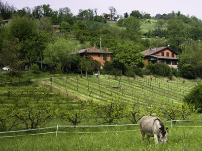 Nelle campagne v'è la terza età e monta il rancore verso il sapere ed il nuovo sapere cittadino: l'élite