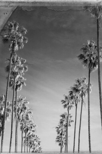 Christopher Thomas. Courtesy of Galerie Photo12