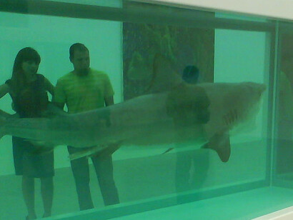 Damien Hirst’s The Physical Impossibility of Death in the Mind of Someone Living (1991) features a tiger shark preserved in formaldehyde, confronting viewers with the spectacle and inevitability of death