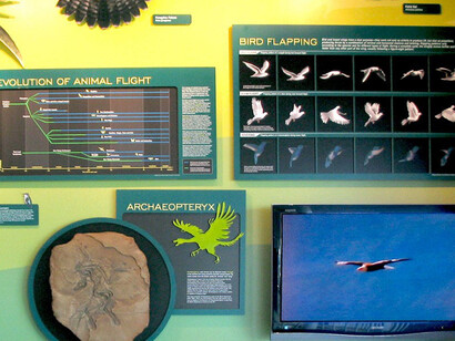 The Tower at Boeing Field. Courtesy of The Museum of Flight