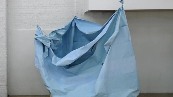 Karla Black. Nothing Is A Must , 2009
