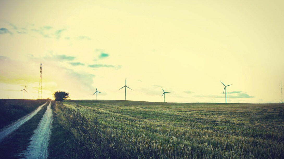 Molinos de viento en la naturaleza