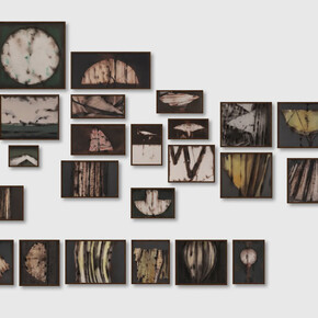 Suman Dey, Nature I (Series: Nature), exhibition view. Courtesy of Emami Art