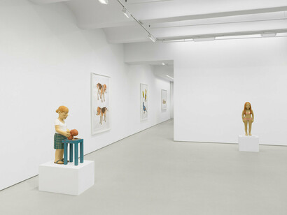 Claudette Schreuders, Genesis, exhibition view. Courtesy of Jack Shainman Gallery