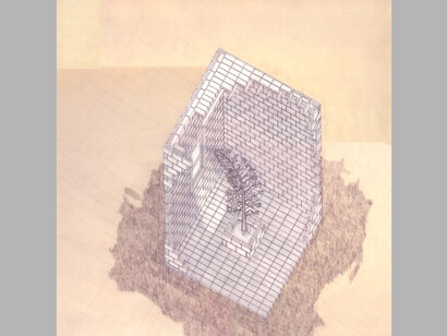 Allan Wexler, Tree-window in block