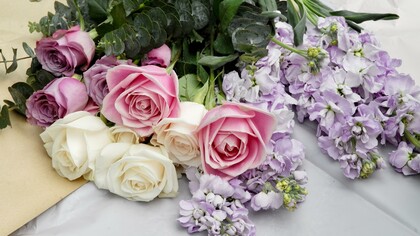 Le rose facevano sfoggio della loro corolla