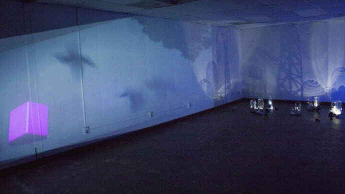 Alice Pixley Young, Half life, exhibition view. Courtesy of Akron Art Museum