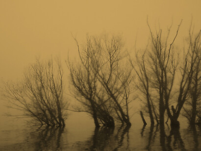 Davide Coltro, Landscapes