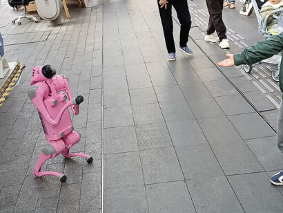 A robotic dog rental demonstration in February 2025 at Huaqiang North, Futian District, Shenzhen, China