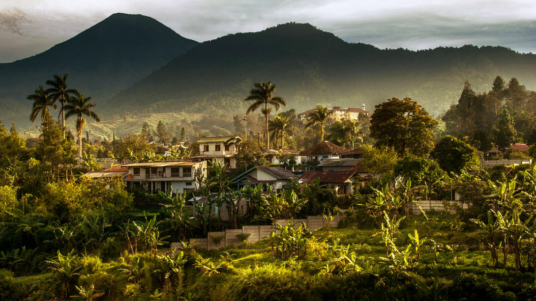 Nestled among the lush greenery, the charming houses in Bandung, Indonesia, offers a serene escape from the hustle and bustle of city life, surrounded by the natural beauty of the West Java mountains, it feels like a peaceful retreat into nature