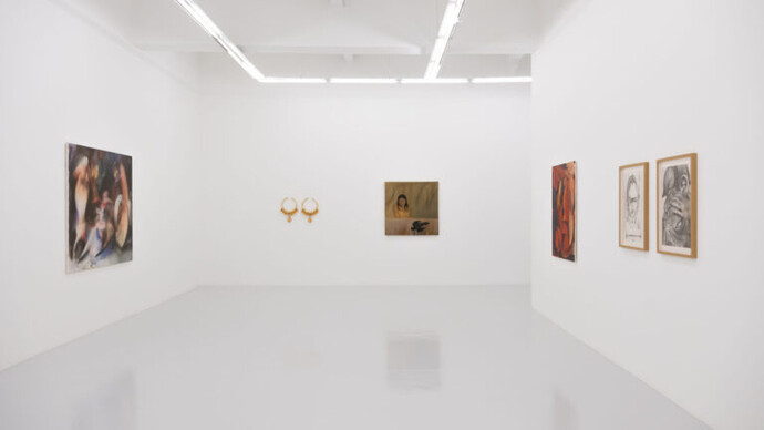 Various artists, their flesh, a field, exhibition view. Courtesy of Ames Yavuz