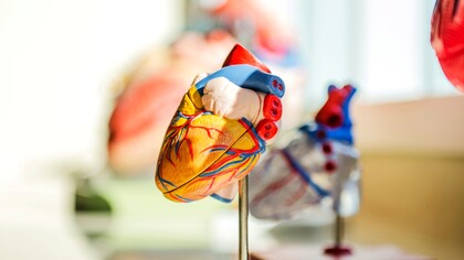 A Firenze si è svolta la 43ª edizione dell’incontro “Conoscere e curare il cuore”, dedicato agli aggiornamenti in ambito cardiologico