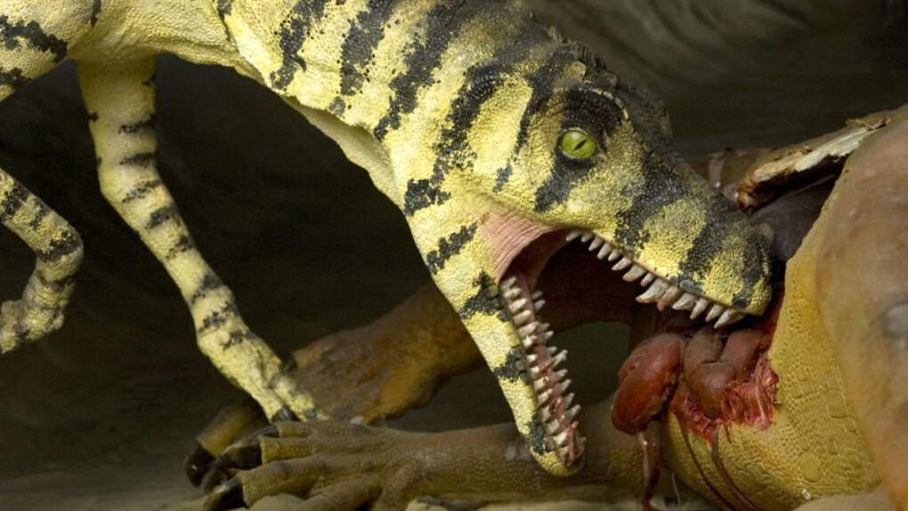 The evolution of Monte Pisano. Courtesy of Museo di Storia Naturale