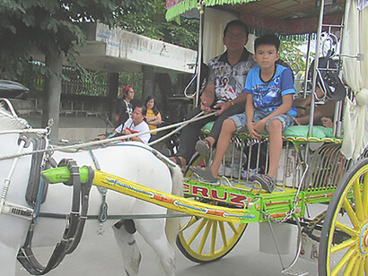 The Santiago Apostol de Quingua Salubong Festival 2022 in Plaridel was marked by a procession, a lively Salubong, and a Horse Festival, featuring the iconic kalesas, contributing to the vibrant cultural heritage of the Philippines