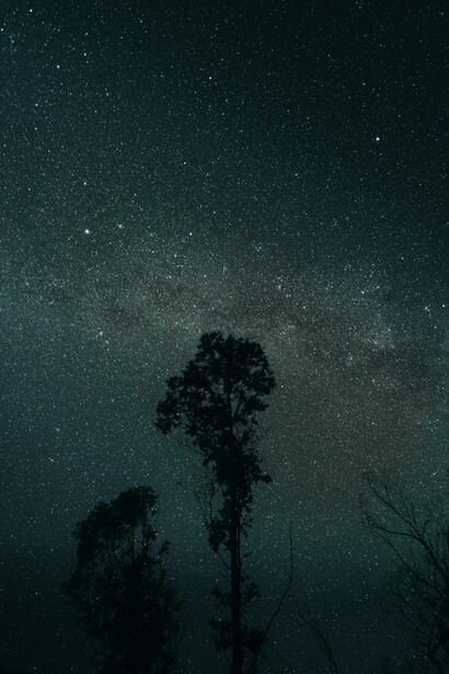 Noche estrellada