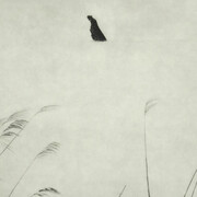 Sayuri Ichida, Phoka #030 (detail), 2025. Courtesy of the Photographers' Gallery