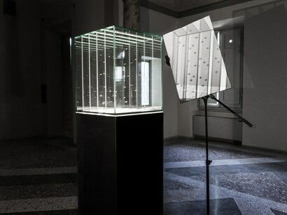Edoardo Dionea Cicconi, exhibition