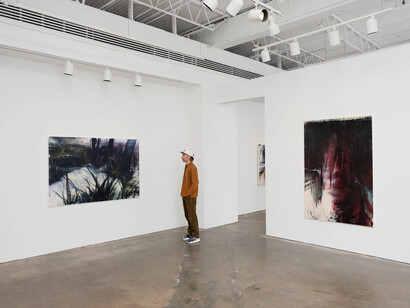 Kathryn Kampovsky, The fade, exhibition view. Courtesy of Johnson Lowe Gallery