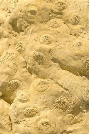 Jitish Kallat. The Box. Courtesy of Pippy Houldsworth Gallery