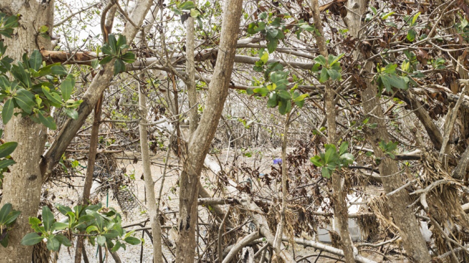 This is climate change. Courtesy of Southeast Museum of Photography