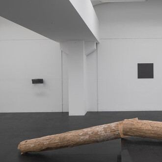 Locus Rei, Exhibition view. Courtesy of Galleria Doris Ghetta