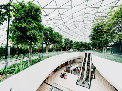 The airport boasts a green, sustainable interior, showcasing expansive windows and bioclimatic design features that promote an eco-friendly atmosphere