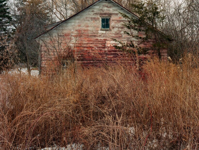 Tema Stauffer. Courtesy of Tracey Morgan Gallery