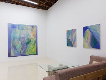 Tyler Vlahovich, The real story, exhibition view. Courtesy of Chris Sharp Gallery