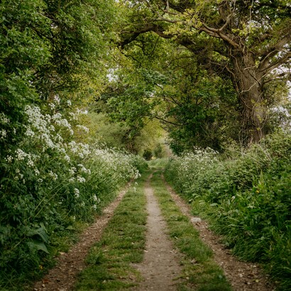 Vivere lontano dalle aree urbane significa ritrovare il valore del silenzio, dei ritmi naturali e della libertà di muoversi senza il continuo frastuono della città