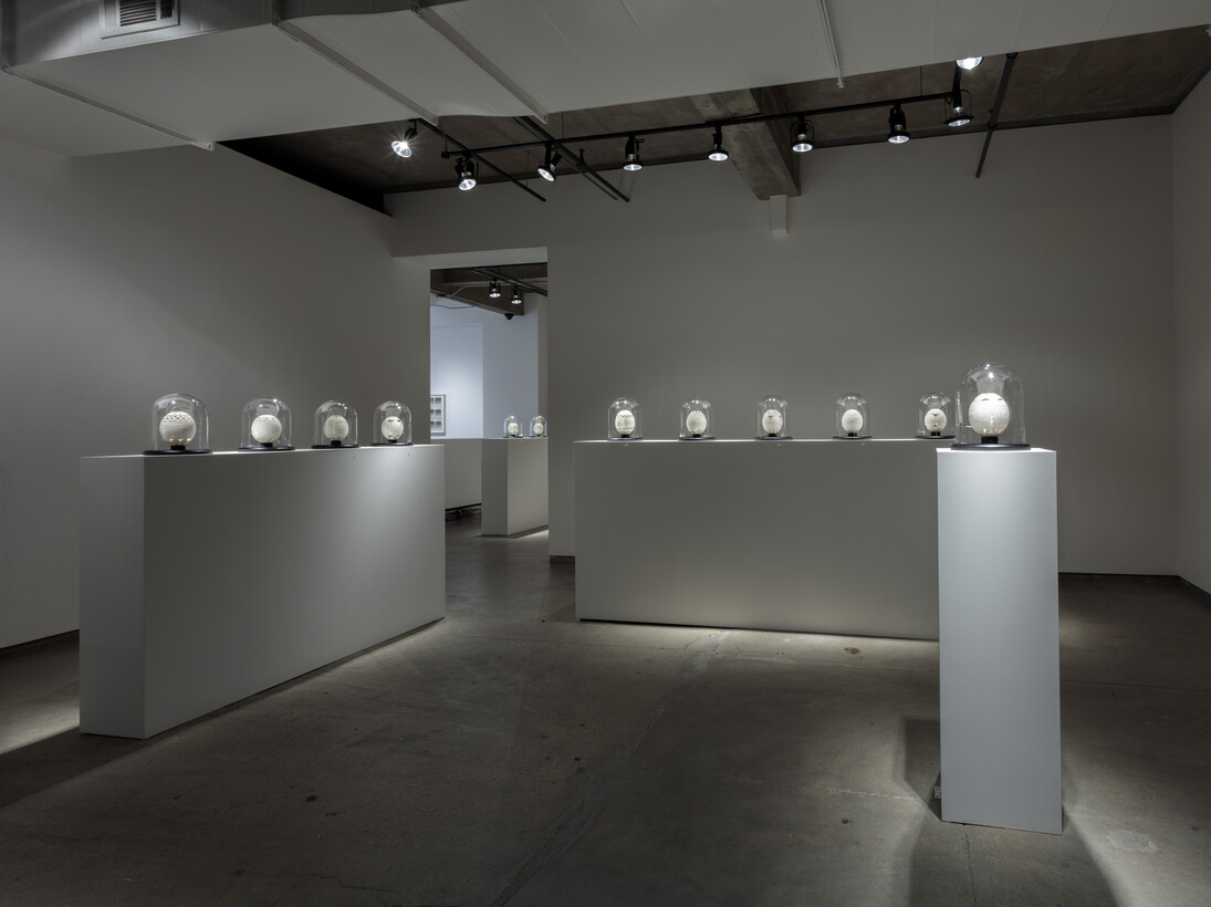 Ricco Maresca Gallery
