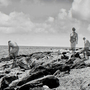 Magnified. Courtesy of Hans Alf Gallery