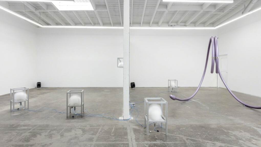 Maladapted. Courtesy of Baert Gallery