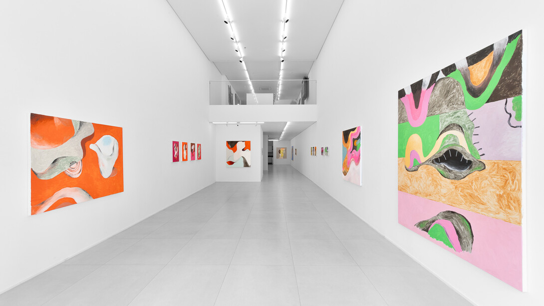 Antonio Malta Campos, Opalescent, exhibition view. Courtesy of Simões de Assis Gallery